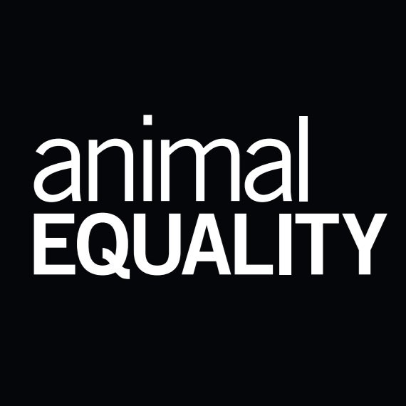 Animal Equality