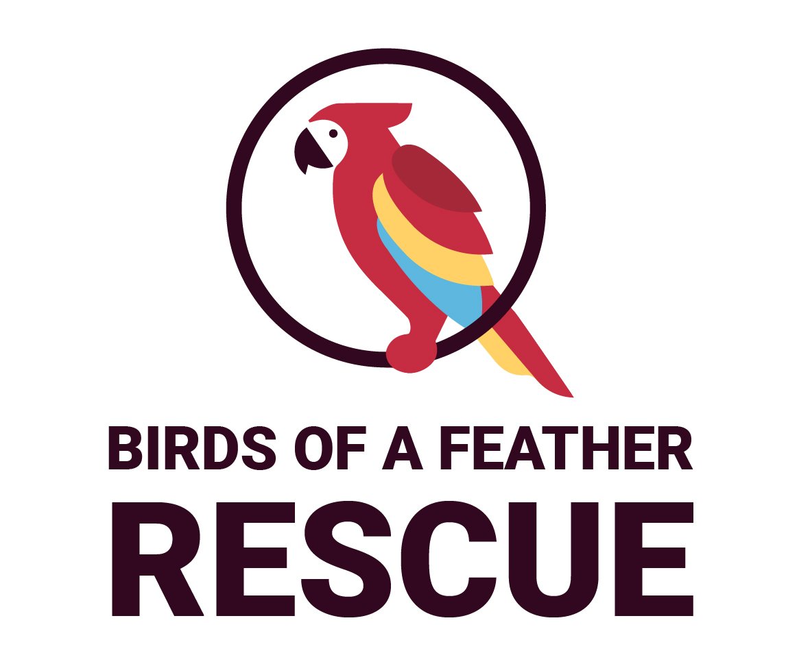 Birds of a Feather Rescue