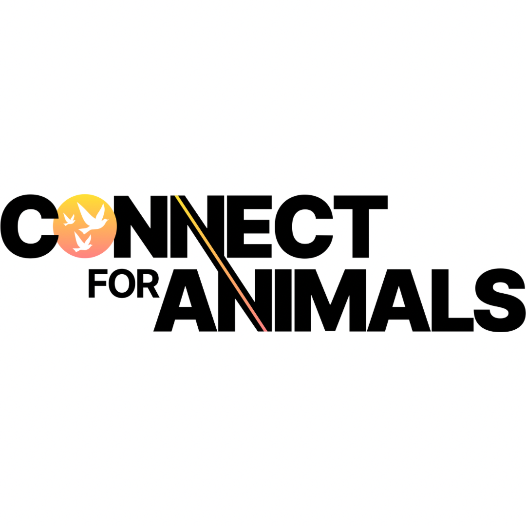 Connect Animals