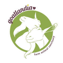 Goatlandia