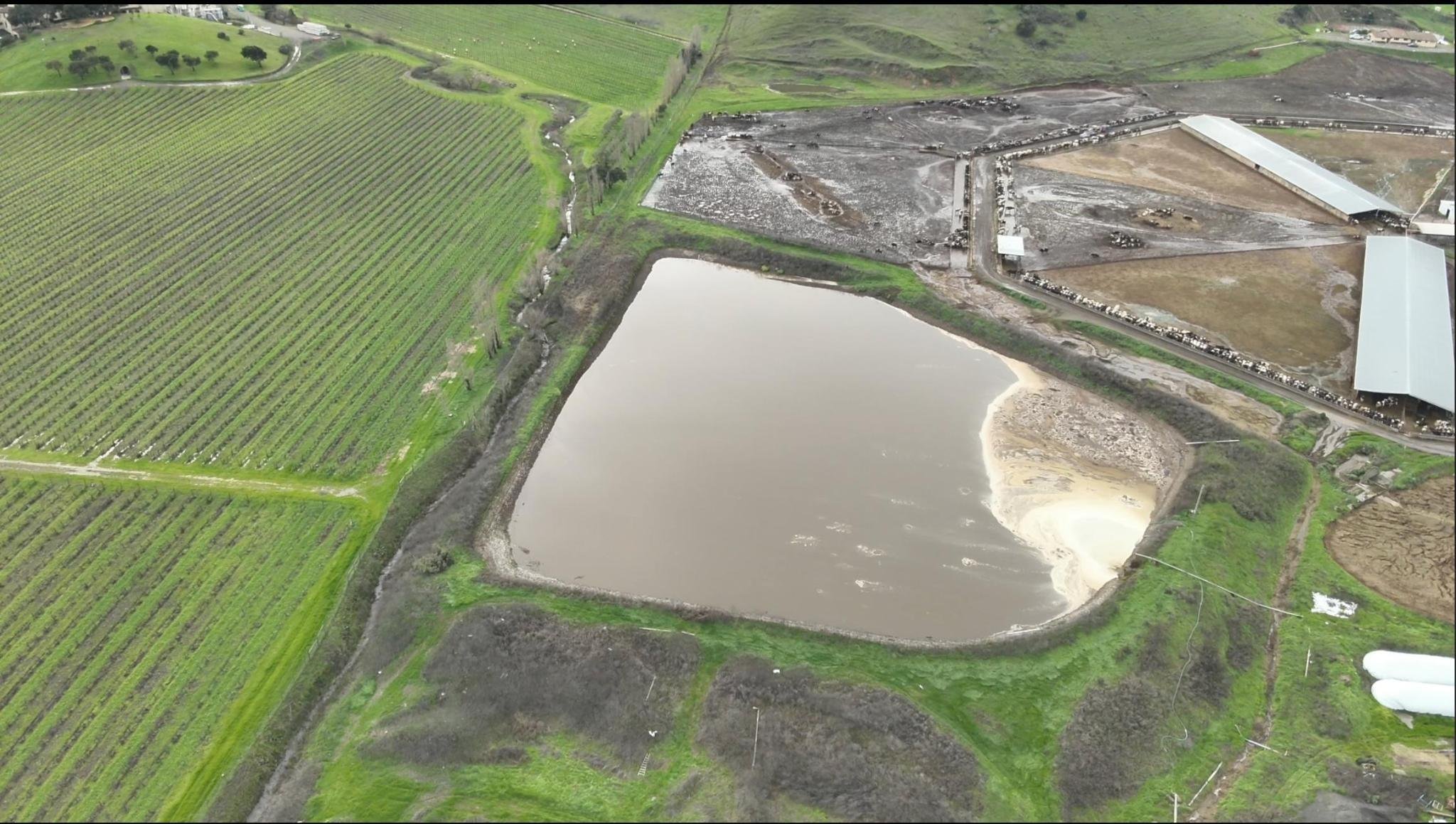A manure lagoon the size of two football fields at Mertens